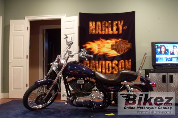 1993 Harley-Davidson 1340 Low Rider Custom photo